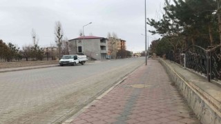 Iğdırda mavi dil hastalığı tedirgin etti