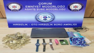 İşyerlerinden hırsızlık yapan zanlı tutuklandı
