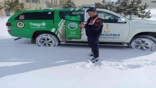 Jandarma yaban hayatı unutmadı