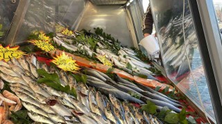 Karadenizdeki avcılık yasağının fiyatlara yansıması bekleniyor
