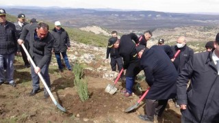 Kiliste bal ormanı oluşturuluyor