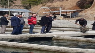 Köyceğizde alabalık ve çilek üretim alanlarında incelemelerde bulunuldu