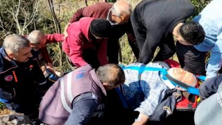 Koyun otlatırken kayalıklardan düştü