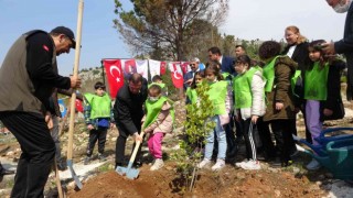 Kozanda yanan ormanlar yeniden fidanla buluşuyor