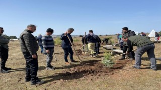 Kurtuluşunun 100. yılında Demirci Akıncılar Anıtının olduğu alan ağaçlandırıldı