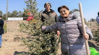 Kütahya, orman ve tabiat varlığı bakımından Türkiye ve dünya ortalamasının üzerinde