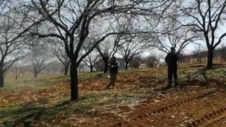 Malatyada çiftçiler kayısı ağaçlarını ilaçlıyor