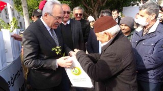 Manavgatta 10 bin 500 fidan dağıtıldı