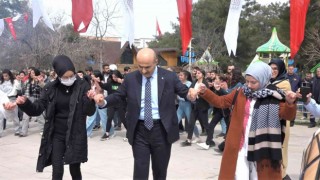 Mardin Valisi Demirtaş, Nevruzda vatandaşlarla halay çekti
