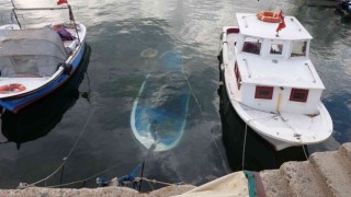 Marmarada deniz ulaşımına poyraz engeli: Bir kayık battı