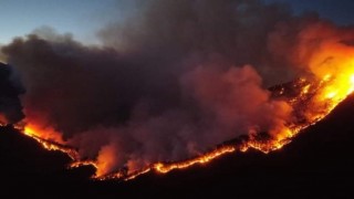 Meksikada 33 ayrı noktada aktif orman yangını bildirildi