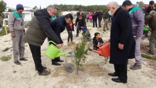 Mersinde 35 hektar alana 45 bin fidan dikildi