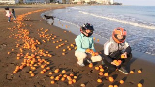Mersinde sahil portakal doldu
