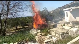 Mezarlık yangını korkuttu