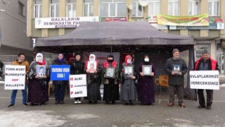 Muşta evlat nöbeti tutan ailelerin sayısı 29a yükseldi