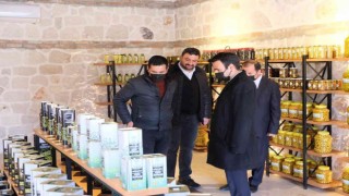 Muttan Hollandaya zeytin ve yöresel ürün ihracatı