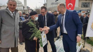 Orhanelide vatandaşlara 7 bin 600 adet fidan ücretsiz dağıtıldı