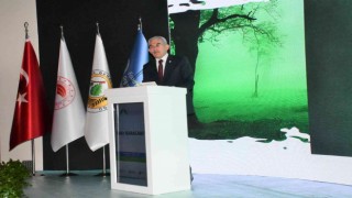 Orman Genel Müdürü Bekir Karacabey: Türkiye dünyada en fazla ağaçlandırma yapan ülkelerden biri