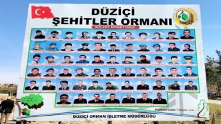 Osmaniyede Şehitler Ormanı oluşturuldu