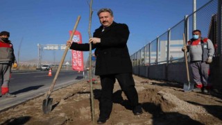 Palancıoğlu: “İklime uygun ağaçlandırma yapılarak, ilçenin ağaç haritası çıkarılacak”