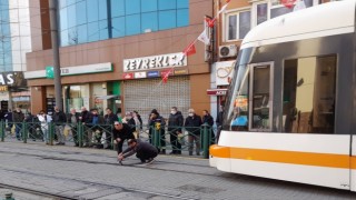 Raylara sıkışan güvercin tramvay seferlerini aksattı