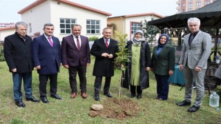 Rizede okul bahçelerine meyve fidanları dikildi