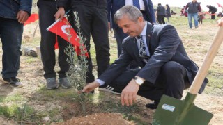 Şahinbeyde 3 milyon 968 bin fidan toprakla buluşturuldu
