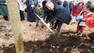 Şahinbeyde ağaç dikim töreni yapıldı