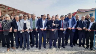Samsatta canlı hayvan borsası açıldı