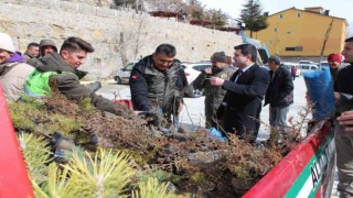 Sarıveliler ilçesinde vatandaşlara fidan dağıtıldı