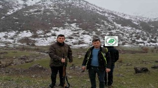 Siirtte kaçak avcılık yapan şahıs hakkında idari işlem yapıldı