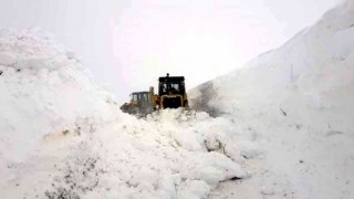 Siirtte kar yağışı nedeniyle 53 köy yolu ulaşıma kapandı