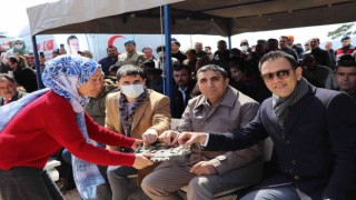 Silifkede çağla festivali düzenlendi
