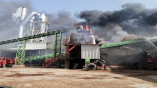 Simavda orman ürünleri fabrikasında korkutan yangın