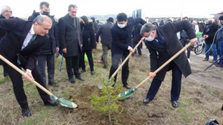 Sinopta 400 fidan toprakla buluştu