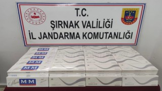 Şırnakta uyuşturucu ve kaçakçılık operasyonu: 4 kişi tutuklandı