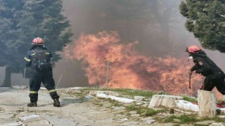 Sisam Adasında büyük orman yangını