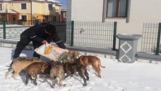 Sokak hayvanları için mama ve yem bırakıldı