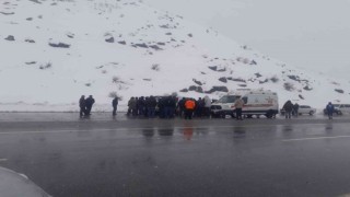 Tatvanda iki araç çarpıştı: 1 ölü, 4 yaralı