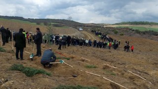 Tekirdağda 300 bin fidan toprakla buluşturuldu