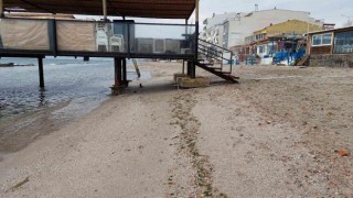 Tekirdağda deniz 15 metre çekildi: Kral yolu ortaya çıktı