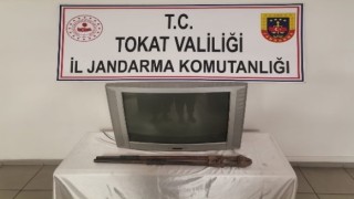 Tokatta 17 hırsızlık olayının şüphelileri yakalandı