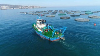 Trabzonda su ürünleri üreticileri Japonya ile serbest ticaret anlaşması yapılmasını istiyor