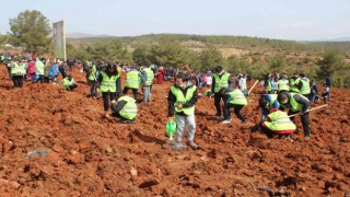 Uşakta yüzlerce öğrenci 3 bin 250 sedir fidanını toprakla buluştu