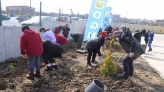 Vali Dağlı öğrencilerle birlikte okul bahçesinde fidan dikti