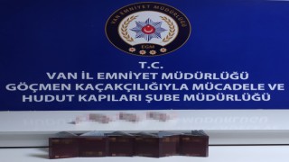 Vanda 7 organizatör tutuklandı