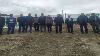 Vezirköprüde 36 bin 950 fidan toprak ile buluşacak