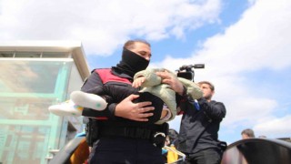 Yabancı uyruklu kadın üst geçitte, polis ve sağlıkçılara ecel terleri döktürdü