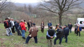 Yalovada çiftçilere Trabzon hurması budama eğitimi