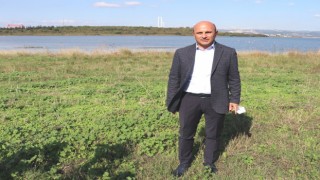 Yeşil Altınova için her yıl 3 bin fidan toprakla buluşuyor